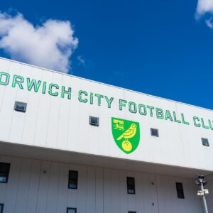 Josh Sargent transfer dilemma: USMNT striker rejects Premier League offers as World Cup clock ticks