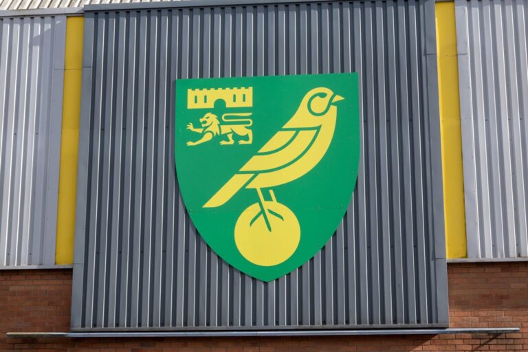 Norwich City birthday message Josh Sargent