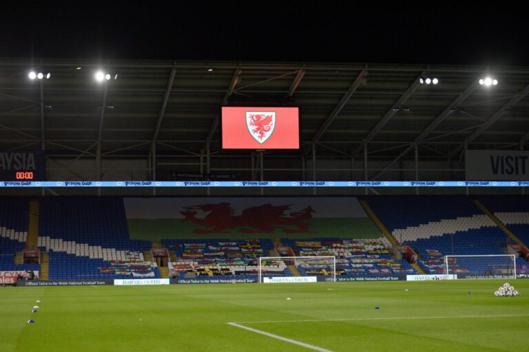 Cardiff City Stadium will host Wales vs Bosnia-Herzegovina