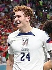 Josh Sargent playing for USMNT in World Cup 2022
