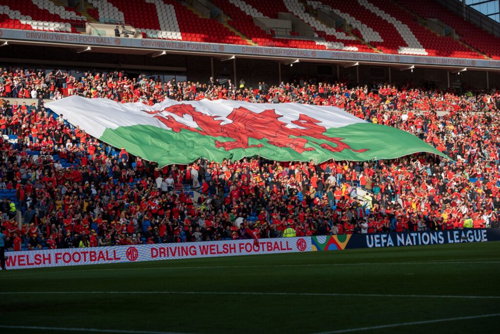Wales national football team fans in the stadium