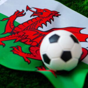 Craig Bellamy reveals Gary Speed’s influence ahead of Wales-Bosnia World Cup playoff