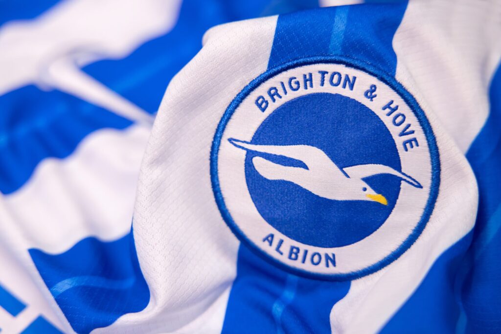 Brighton & Hove Albion logo