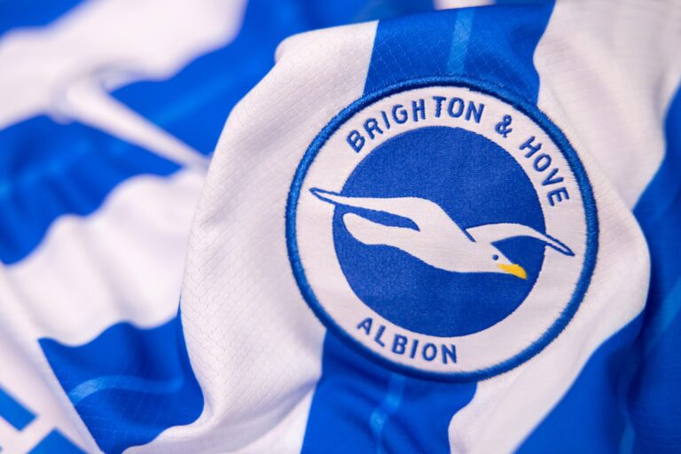 Brighton & Hove Albion logo