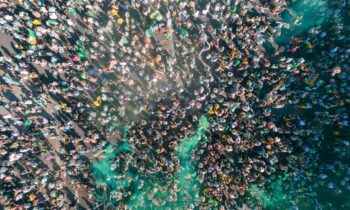 Celtic fans celebrate the Scottish Premiership title win